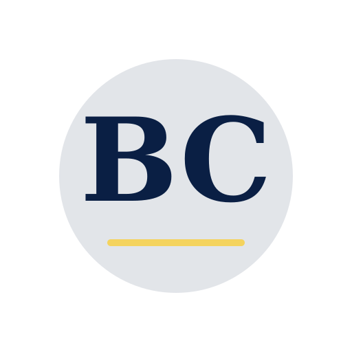 Broadleaf Chimney Repair logo